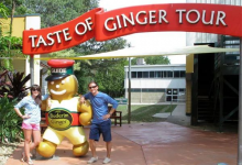 澳大利亞“生姜”農業主題樂園，變全球超強農旅品牌的“商業機密”-有點兒甜的生姜樂園——澳大利亞姜工廠樂園-七不姜 生姜養生網-明德CSA生態姜園&明安農業