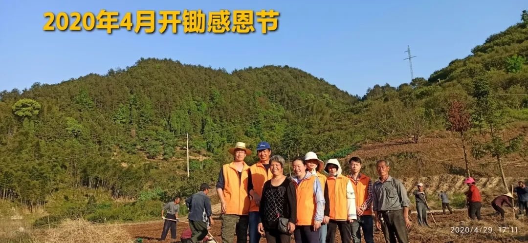 2020年七不小黄姜秋收感恩节邀请函 11月8日-15日 心法农业 福田心耕 欢喜农耕 心悦自然（浙江仙居仁庄村）