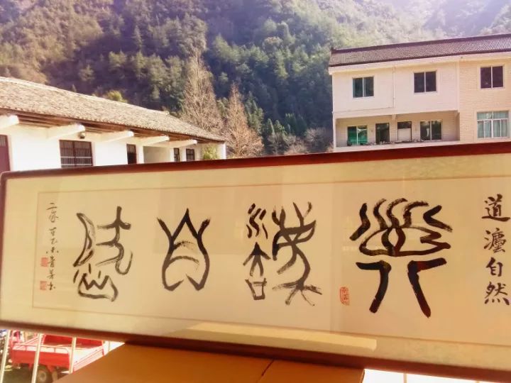 2020年七不小黄姜秋收感恩节邀请函 11月8日-15日 心法农业 福田心耕 欢喜农耕 心悦自然（浙江仙居仁庄村）