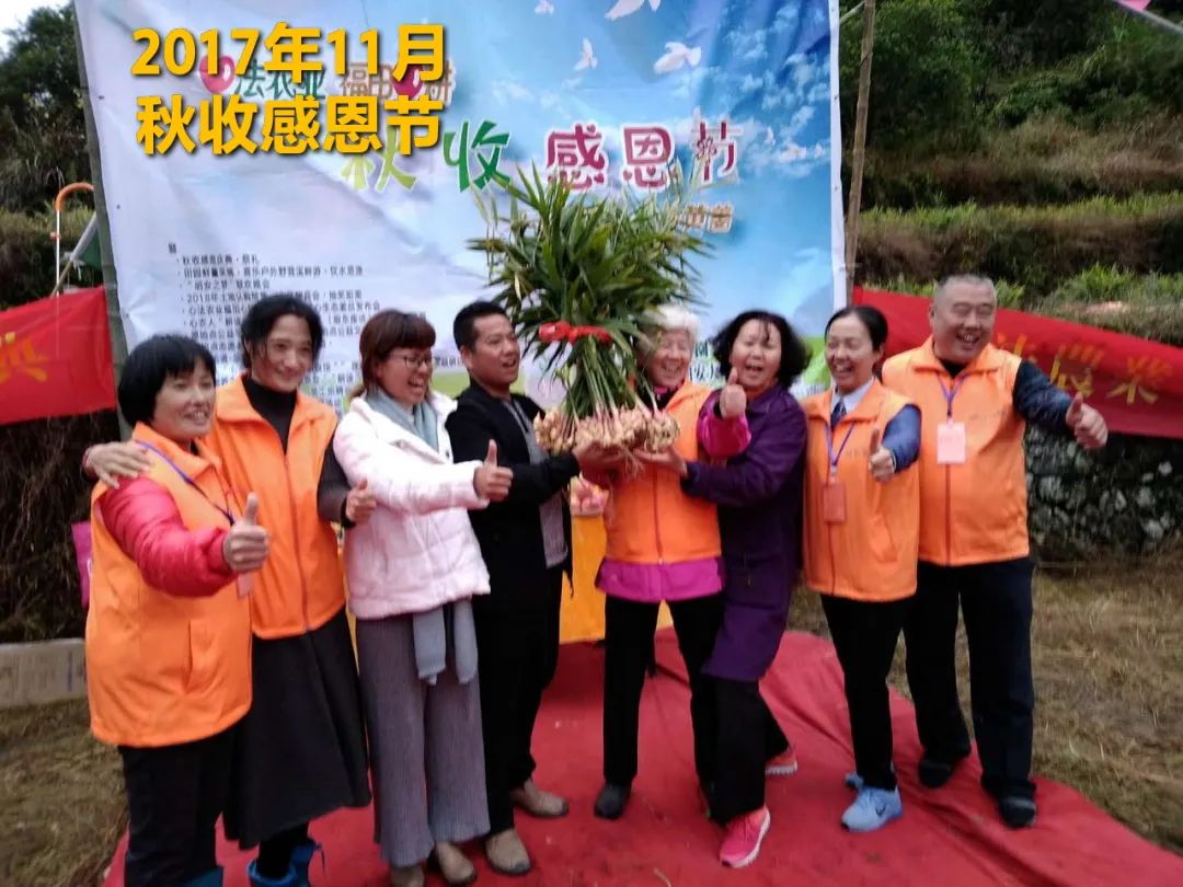 2020年七不小黄姜秋收感恩节邀请函 11月8日-15日 心法农业 福田心耕 欢喜农耕 心悦自然（浙江仙居仁庄村）