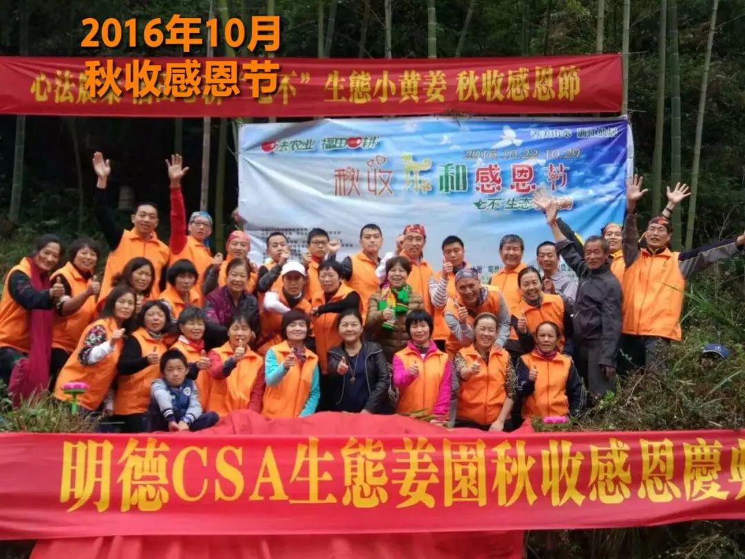 2020年七不小黄姜秋收感恩节邀请函 11月8日-15日 心法农业 福田心耕 欢喜农耕 心悦自然（浙江仙居仁庄村）