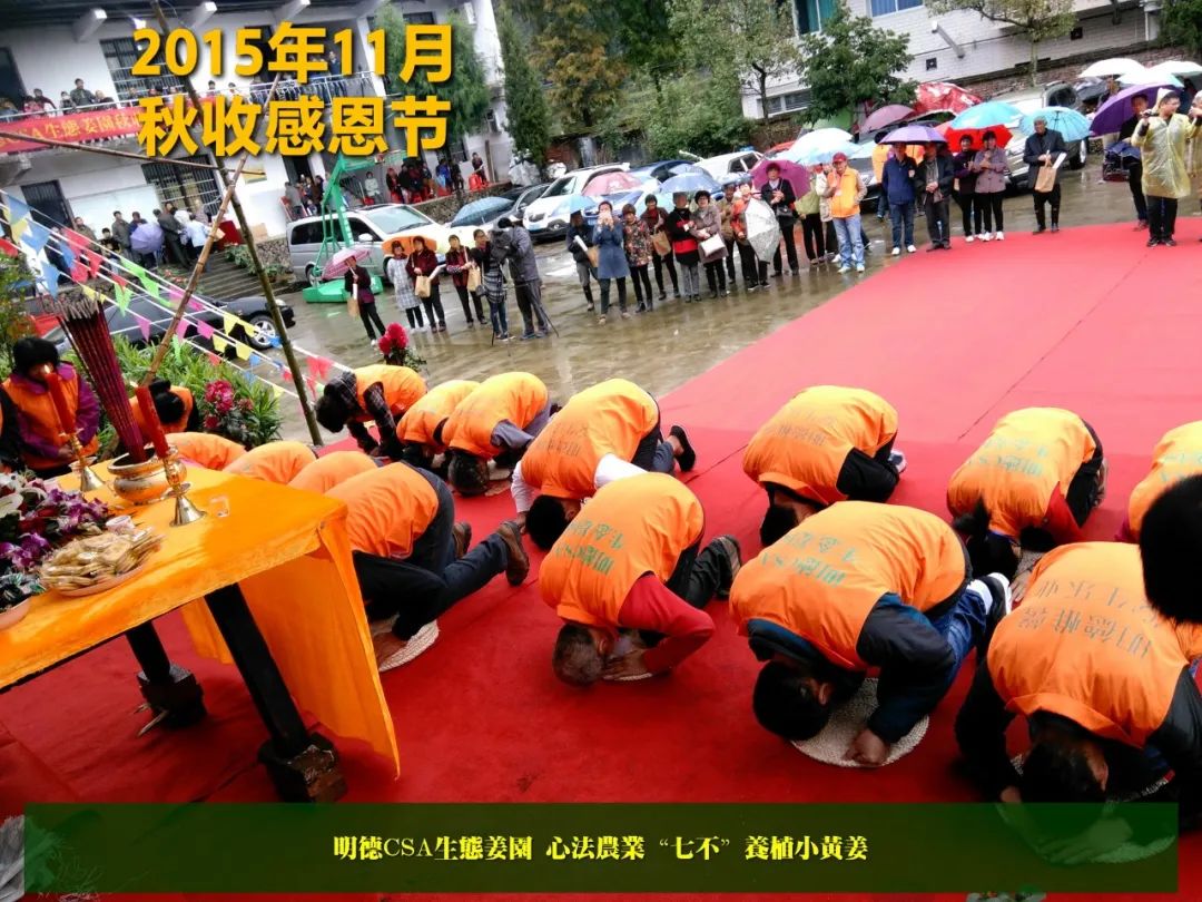 2020年七不小黄姜秋收感恩节邀请函 11月8日-15日 心法农业 福田心耕 欢喜农耕 心悦自然（浙江仙居仁庄村）