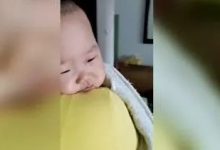 幼兒高熱近42℃,麻疹案例-七不姜 生姜養生網-明德CSA生態姜園&明安農業