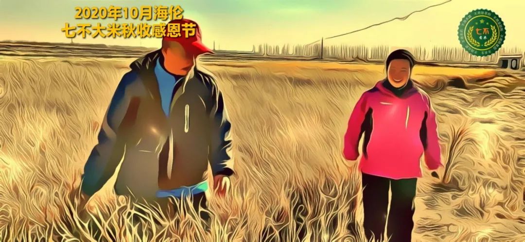 2020年七不小黄姜秋收感恩节邀请函 11月8日-15日 心法农业 福田心耕 欢喜农耕 心悦自然（浙江仙居仁庄村）