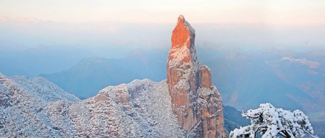 仙居仙景 | 想你的風還是吹到了仙居,“爾濱”老鐵們!看仙居給咱整點啥→-七不姜 生姜養生網-明德CSA生態姜園&明安農業