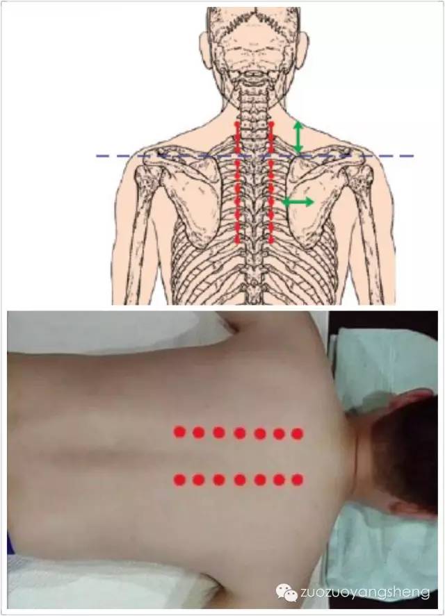 猝死，又是一例猝死！赶紧学习原始点的急救吧！