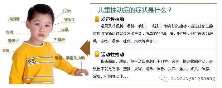 案例分享:原始点调理孩子的抽动症 案例分享:原始点调理孩子的抽动症