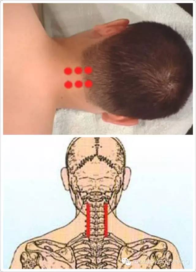 感冒后,最简单最快捷最全面的原始点调理方案(建议转发+收藏) 感冒后,最简单最快捷最全面的原始点调理方案(建议转发+收藏)