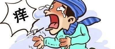 案例分享：原始点调理突发性过敏全身痒的案例-原始点全球同学网