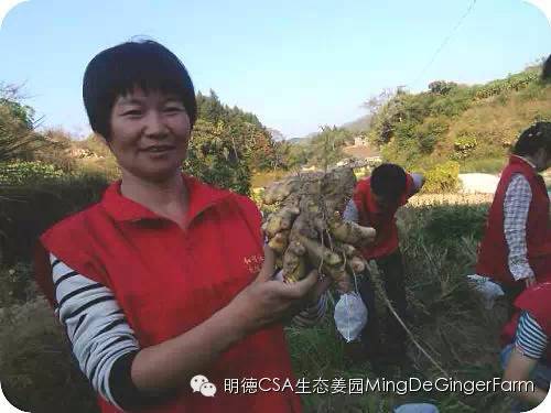 福建 廈門漳州泉州福州三明 原始點學習交流點、推廣點、理療店、按摩館 聯系通訊錄2021-原始點全球同學網