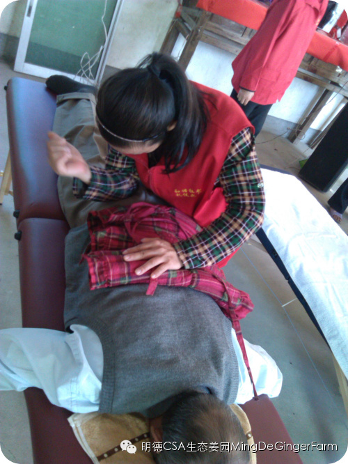 心法农业 福田心耕 明德CSA生态姜园发起股东及创业团队介绍一