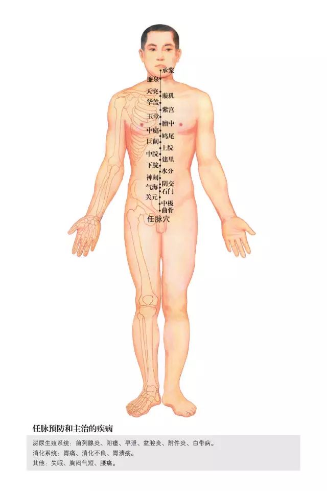 原始点家人还可以学习一下这些人体小开关!(附超高清人体经络穴位图) 原始点家人还可以学习一下这些人体小开关!(附超高清人体经络穴位图)