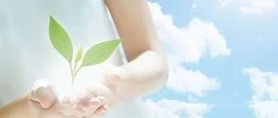 案例分享：原始点调理三天排死胎的案例。-原始点全球同学网