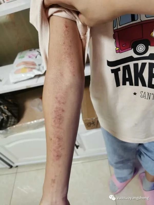 案例分享:学员李女士学习与调理的心路历程 案例分享:学员李女士学习与调理的心路历程