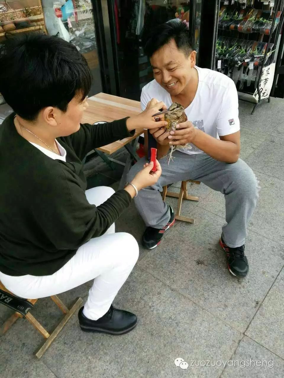 案例分享：原始点调理天外来客