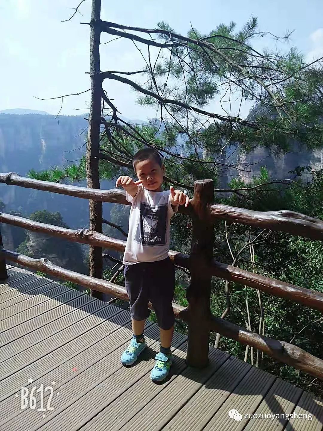 案例分享：  原始点调理小朋友咳喘的案例