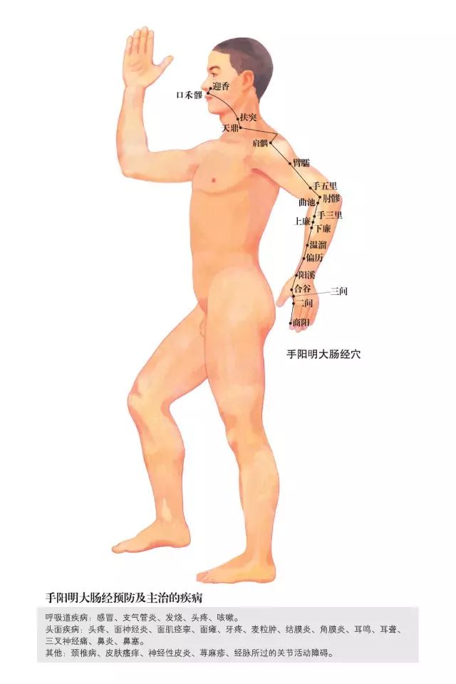 原始点家人还可以学习一下这些人体小开关!(附超高清人体经络穴位图) 原始点家人还可以学习一下这些人体小开关!(附超高清人体经络穴位图)