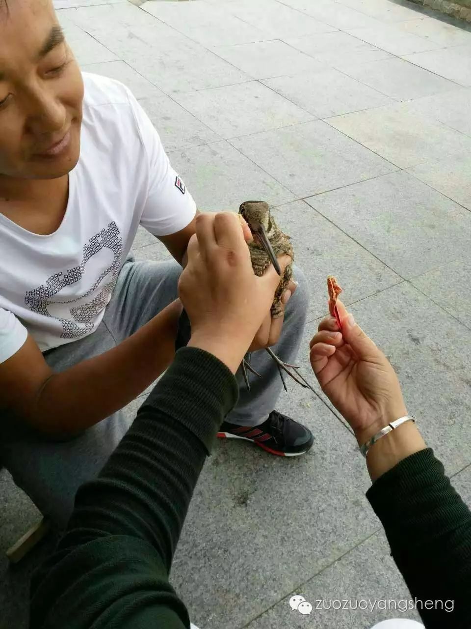 案例分享：原始点调理天外来客