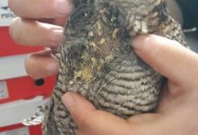 案例分享：原始点调理天外来客-原始点全球同学网