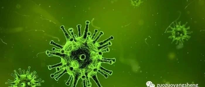 没有中医的意大利，新冠肺炎的死亡率高达8%！-原始点全球同学网
