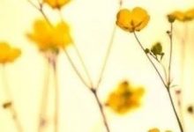 微问答147期：女儿的白带很多，可以吃消炎药吗？-原始点全球同学网