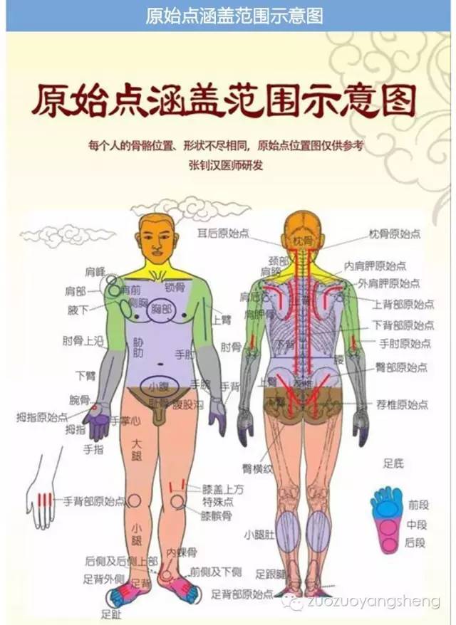 如何使用原始点按摩器给自己按推？（建议收藏+转发）