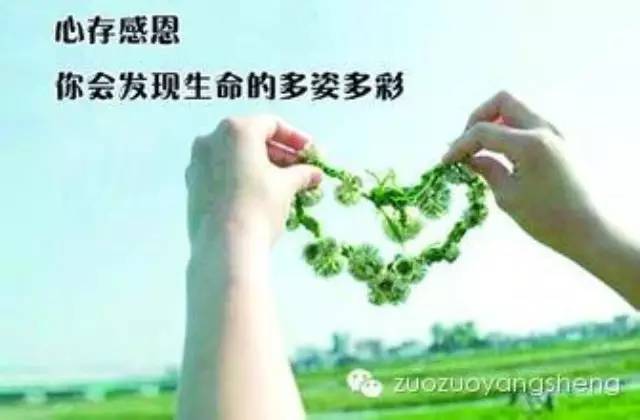 案例分享：高血糖的原始点调理-原始点全球同学网