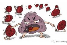 案例分享:原始点调理血小板减少症的案例-原始点全球同学网