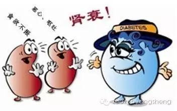 肾衰竭患者使用原始点调理后，温敷5分钟，爱吃水果，喜欢外出就餐，配合程度不高怎么办？-原始点全球同学网