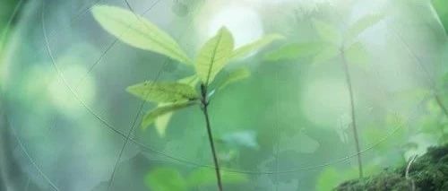 全国原始点老师奔赴武汉抗击“新型肺炎”请战书-原始点全球同学网
