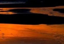 【原始点疗法】不被神化的原始点,才是张医师推广之初心-原始点全球同学网