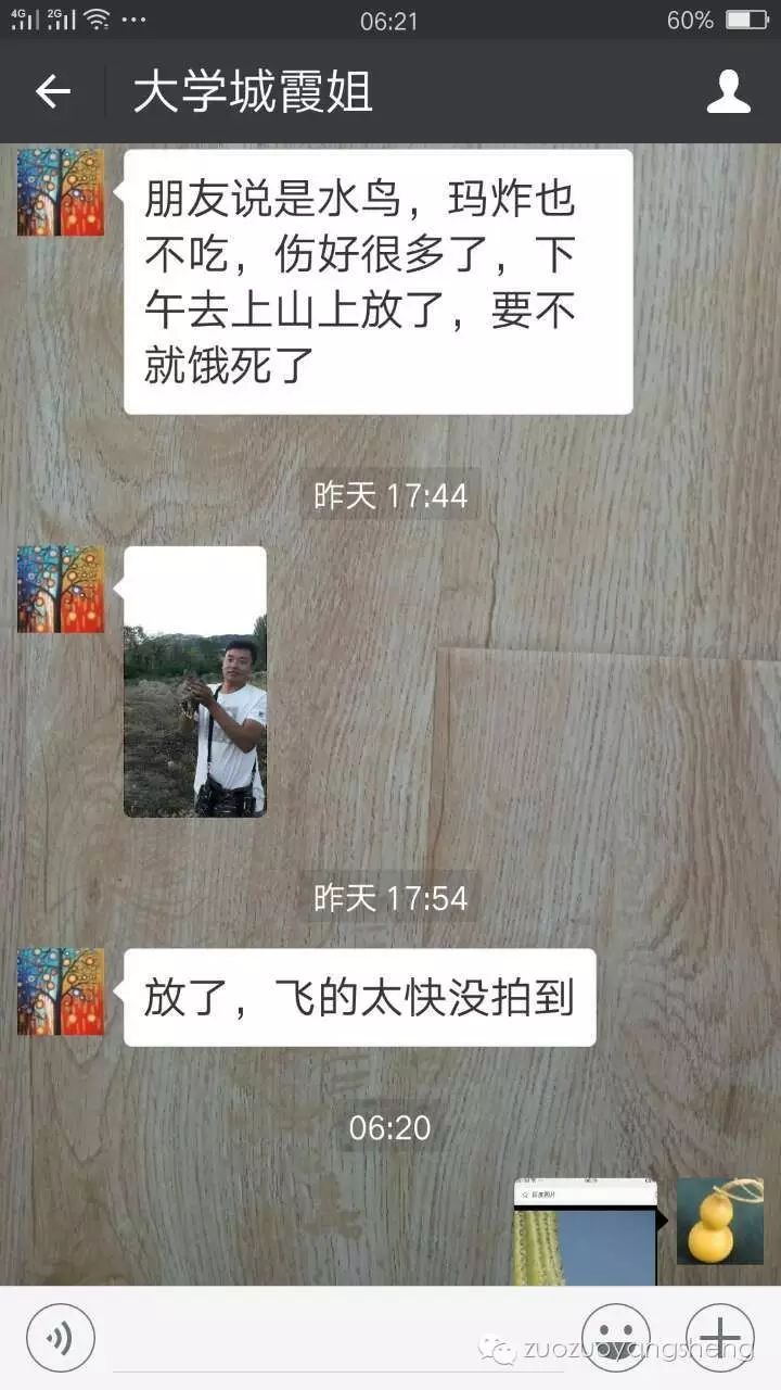 案例分享：原始点调理天外来客