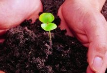 那一晚，她让我去救一个已经没有心跳的婴儿-原始点全球同学网