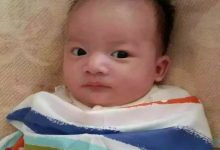 案例分享：又一个可爱的原始点宝宝降生了！-原始点全球同学网