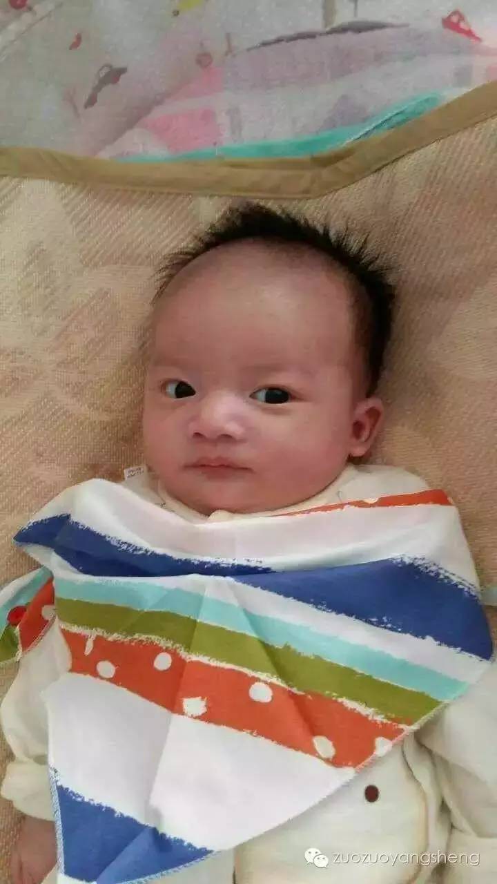 案例分享：又一个可爱的原始点宝宝降生了！-原始点全球同学网