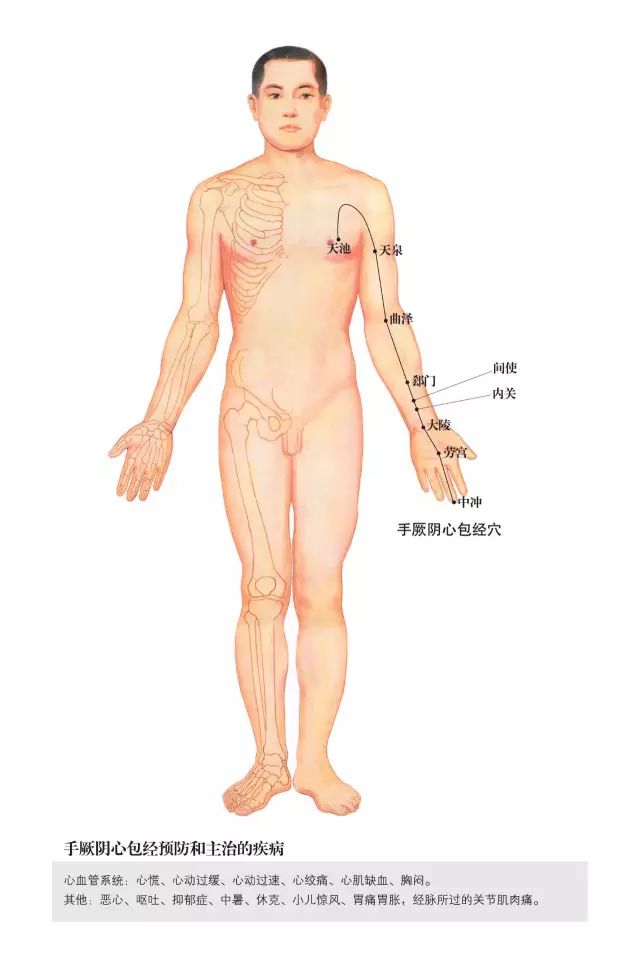 原始点家人还可以学习一下这些人体小开关!(附超高清人体经络穴位图) 原始点家人还可以学习一下这些人体小开关!(附超高清人体经络穴位图)