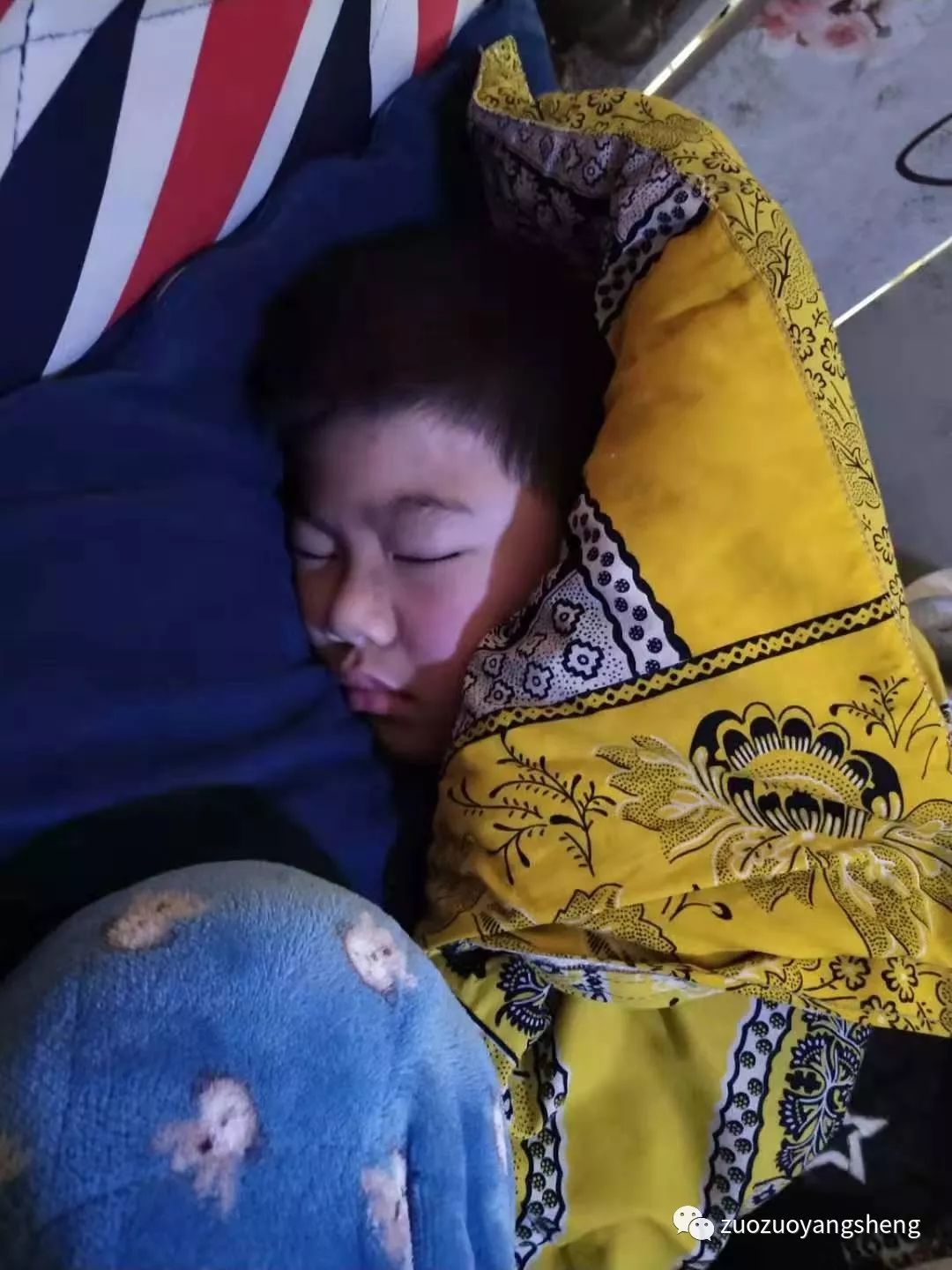 案例分享：原始点调理甲流案例