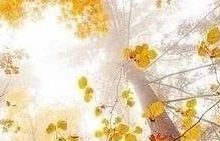 微问答156期：我有个心结十多年了，结婚一开始，就是个错误……-原始点全球同学网