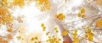 微问答156期：我有个心结十多年了，结婚一开始，就是个错误……-原始点全球同学网