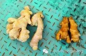 几分钟教你如何鉴别硫磺姜