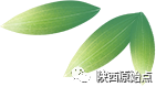 原始点公益再续,初心——从未忘记 原始点公益再续,初心——从未忘记