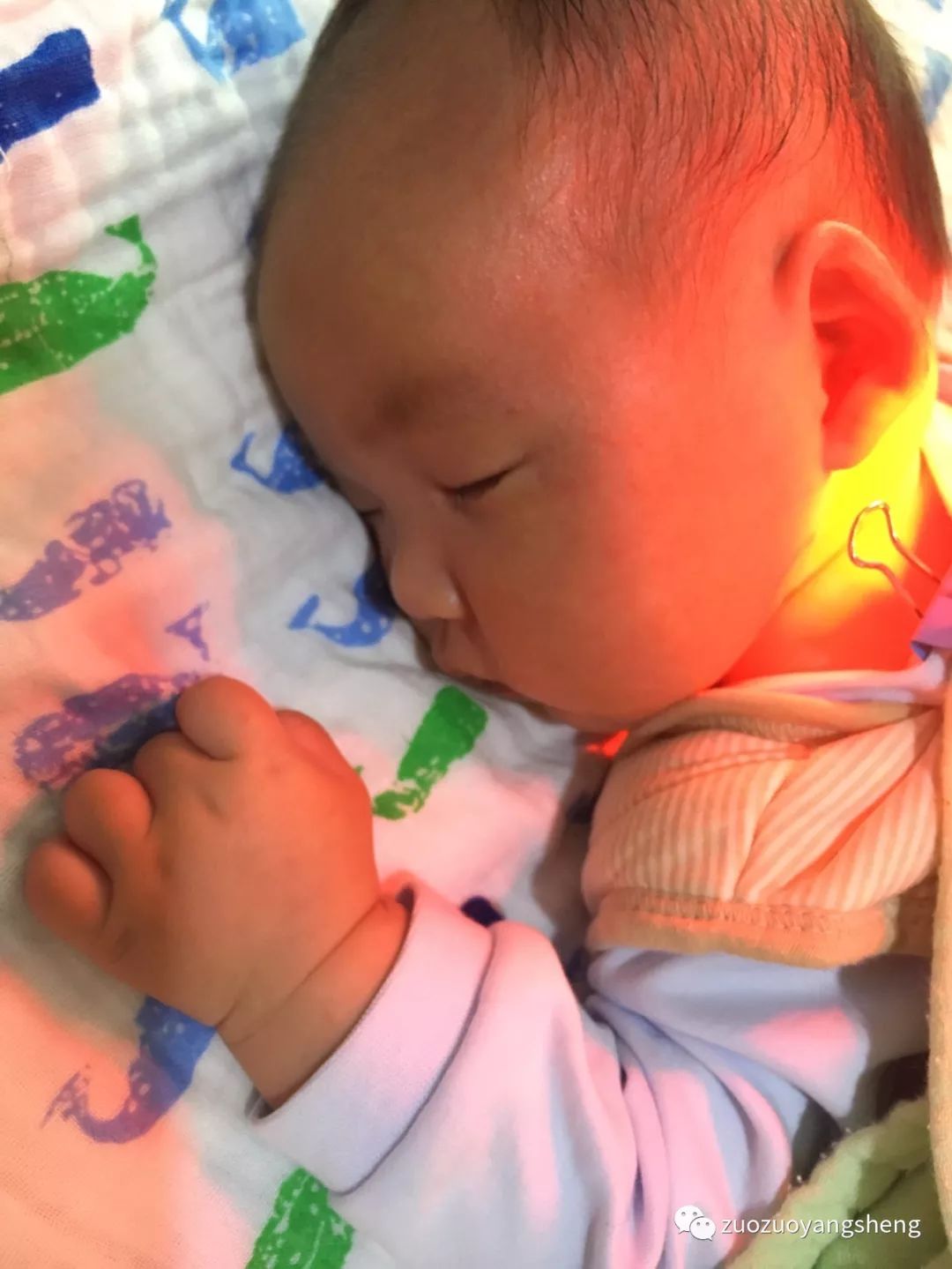 案例回访:原始点调理孩子一年后,体质大幅改善! 案例回访:原始点调理孩子一年后,体质大幅改善!