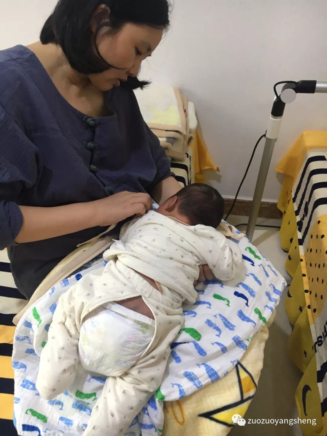 案例回访:原始点调理孩子一年后,体质大幅改善! 案例回访:原始点调理孩子一年后,体质大幅改善!