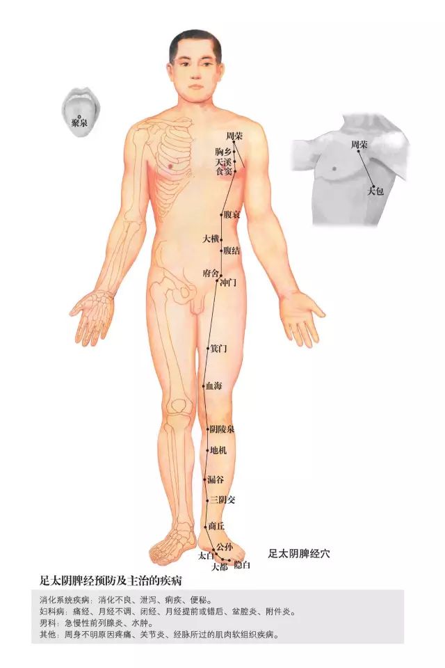 原始点家人还可以学习一下这些人体小开关!(附超高清人体经络穴位图) 原始点家人还可以学习一下这些人体小开关!(附超高清人体经络穴位图)