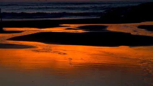 【原始点疗法】不被神化的原始点,才是张医师推广之初心 【原始点疗法】不被神化的原始点,才是张医师推广之初心