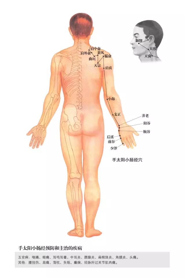 原始点家人还可以学习一下这些人体小开关!(附超高清人体经络穴位图) 原始点家人还可以学习一下这些人体小开关!(附超高清人体经络穴位图)