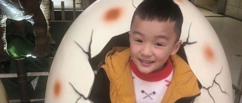 案例分享：原始点调理五岁孩子高烧不退案例-原始点全球同学网