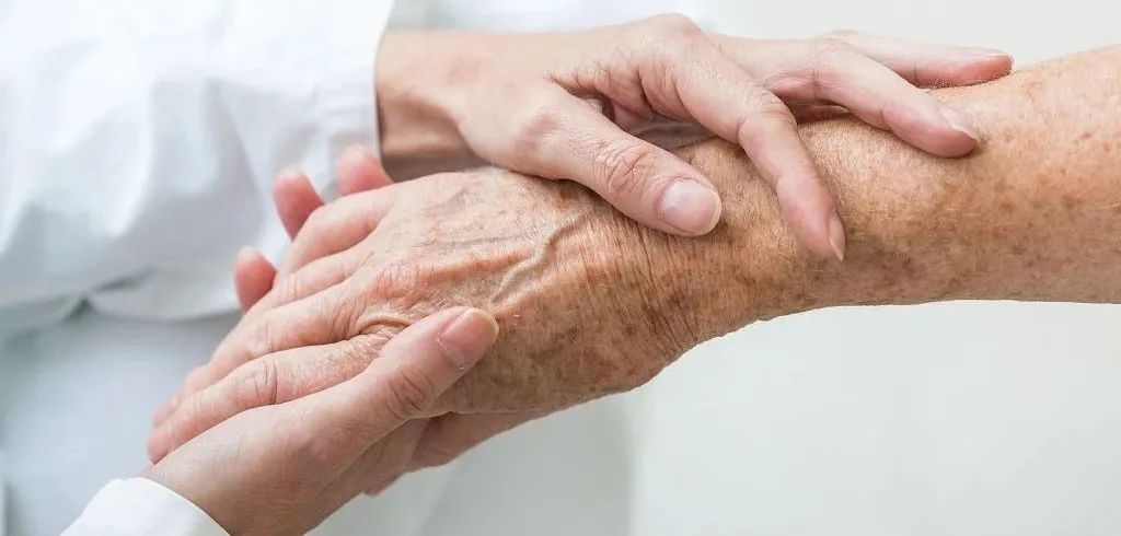 在佛学与原始点相容之后，为我开启两善大门