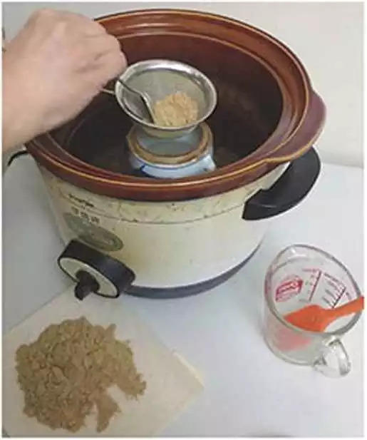 原始点医疗保健中 姜的应用2018.8 V13 原始点医疗保健中 姜的应用2018.8 V13