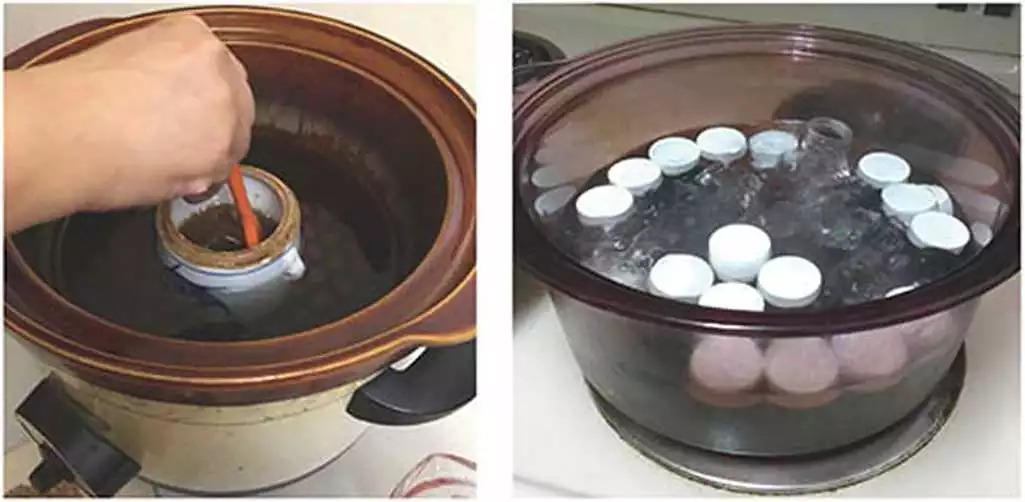 原始点医疗保健中 姜的应用2018.8 V13 原始点医疗保健中 姜的应用2018.8 V13